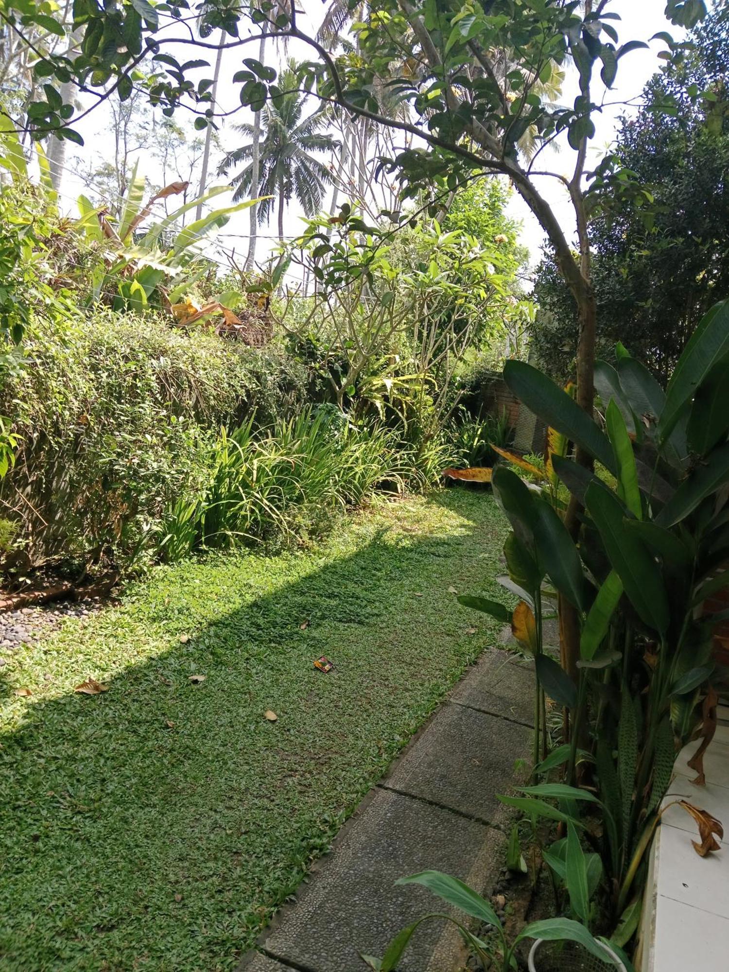 Sunrise Coconut House Hotel อูบุด ภายนอก รูปภาพ