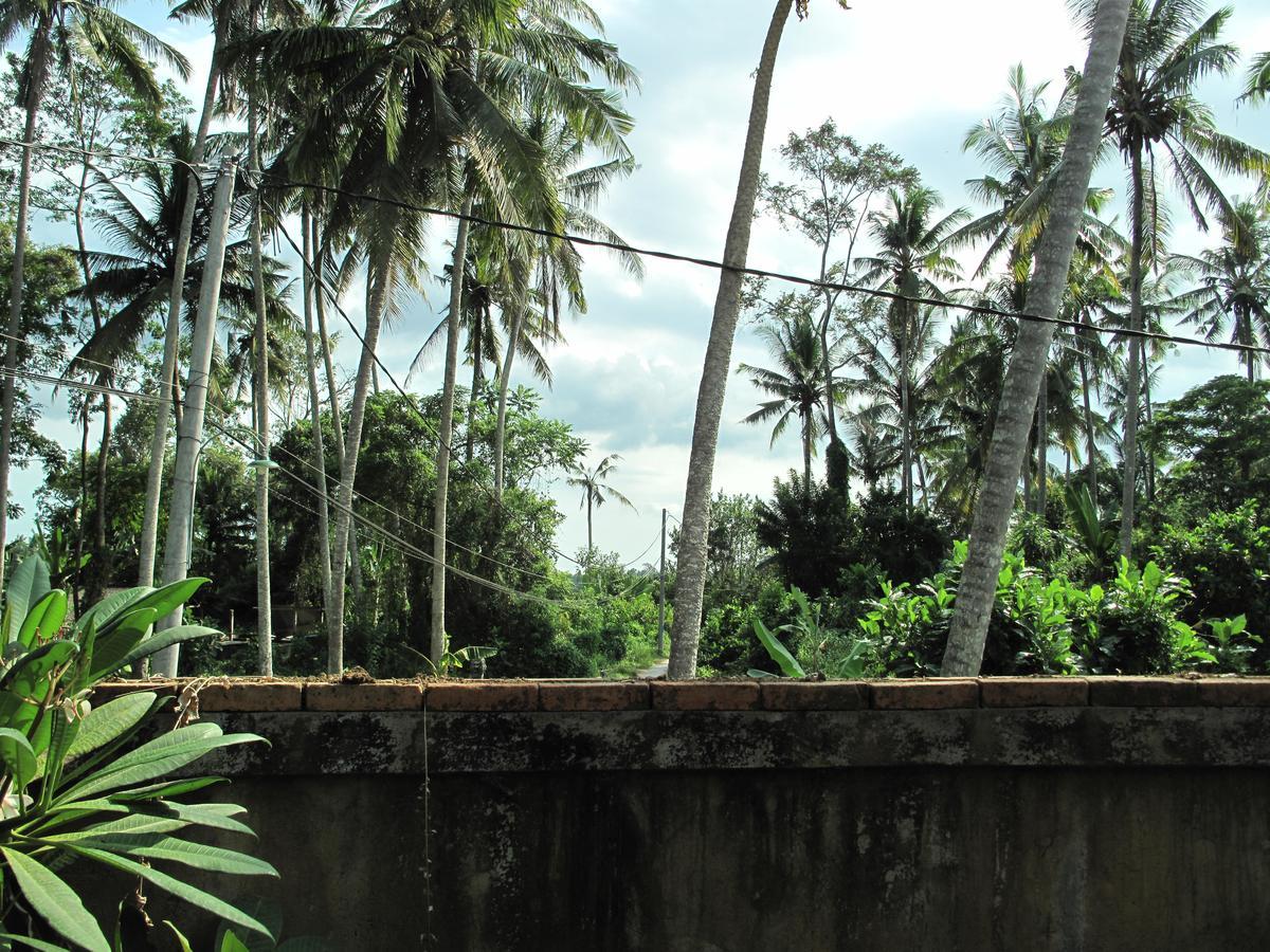 Sunrise Coconut House Hotel อูบุด ภายนอก รูปภาพ